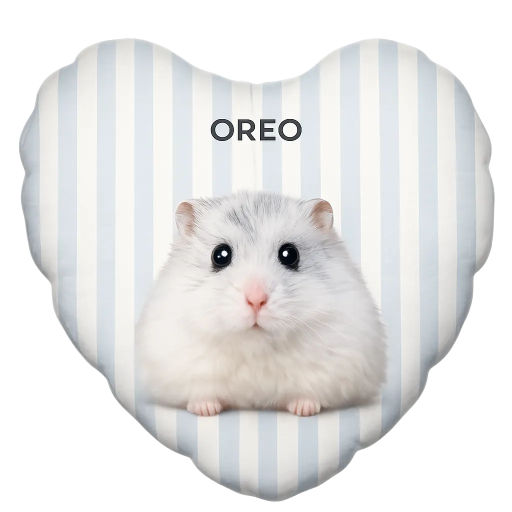 Cuscino